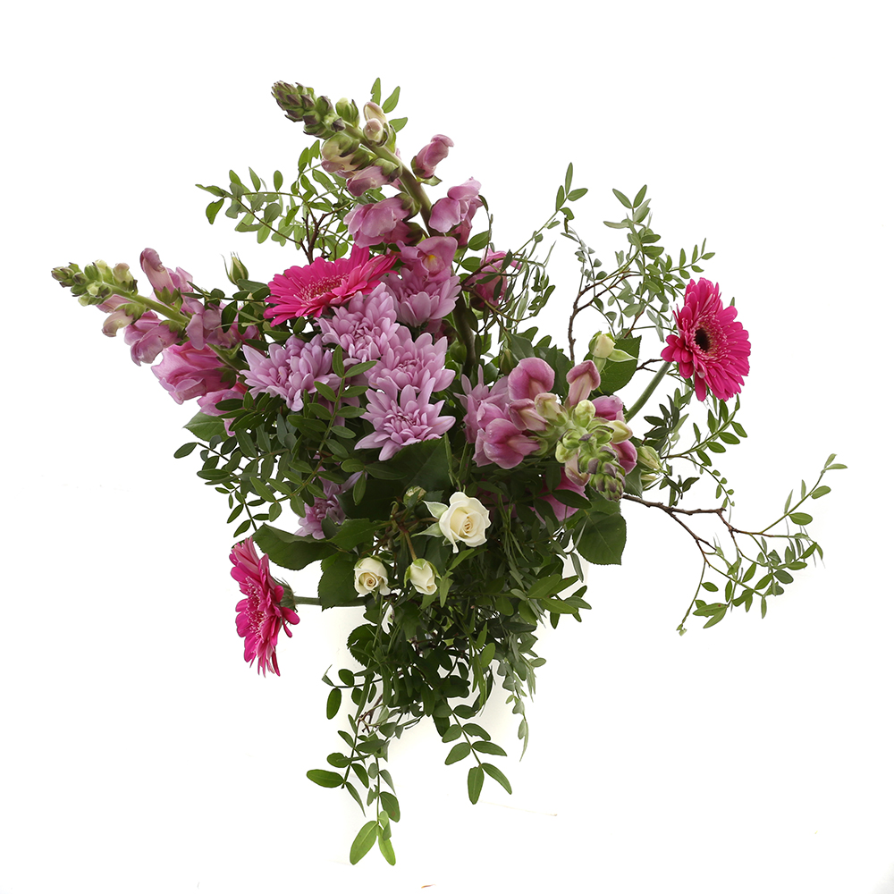 jena bloemen en planten bloemen en planten aan huis babygoodies jena bloemen en planten bloemen en planten aan huis babygoodies